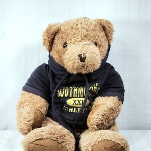 Brown Stuffed Teddy Bear with Hoodie